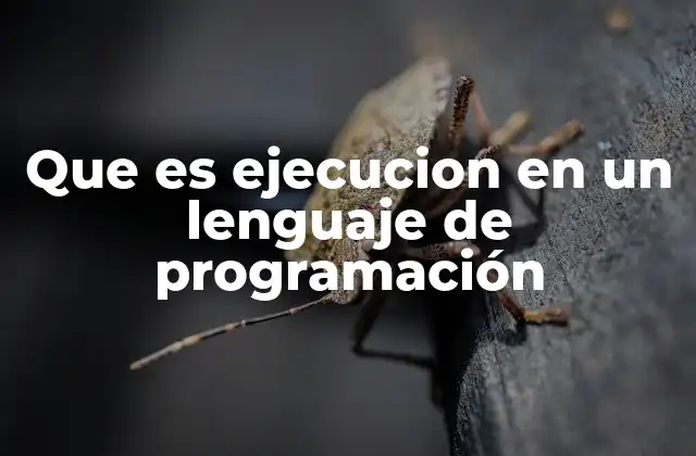 Que es Ejecucion en un Lenguaje de Programación