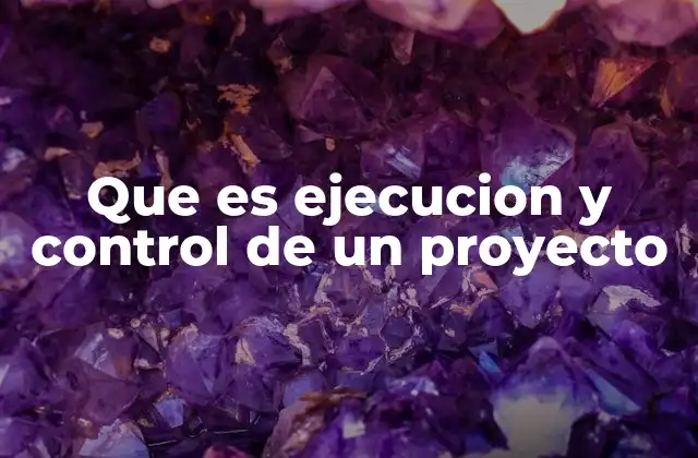 Que es Ejecucion y Control de un Proyecto