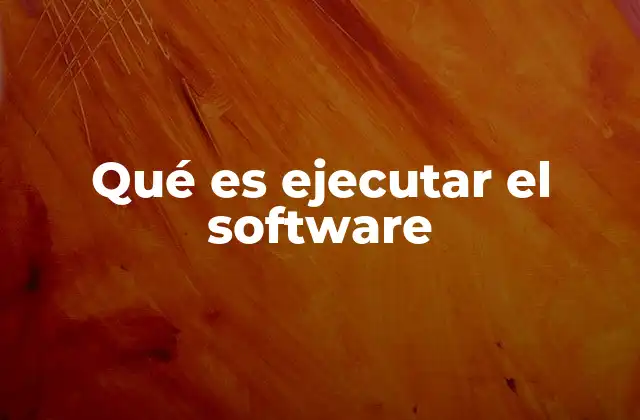 Qué es Ejecutar el Software
