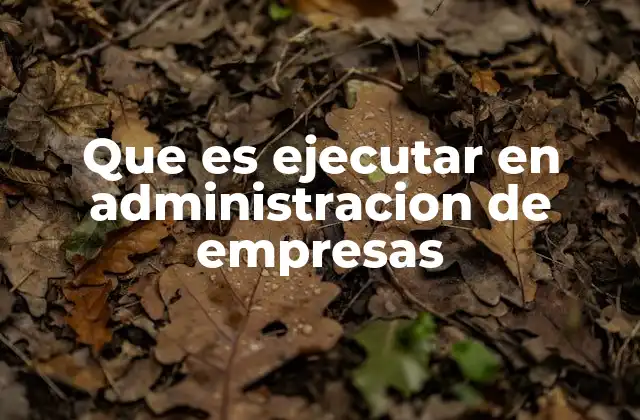 Que es Ejecutar en Administracion de Empresas