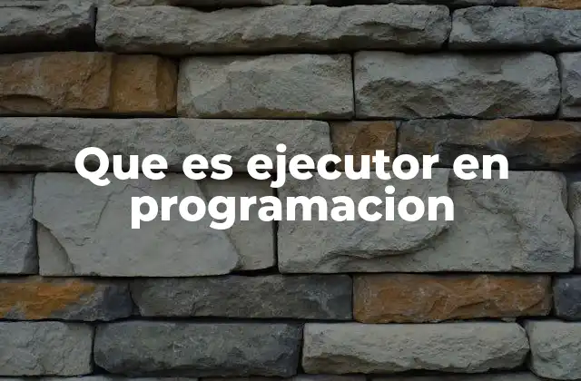 Que es Ejecutor en Programacion