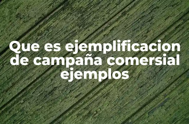 Que es Ejemplificacion de Campaña Comersial Ejemplos