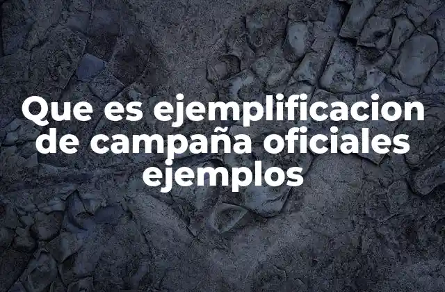 Que es Ejemplificacion de Campaña Oficiales Ejemplos