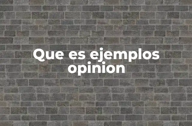 Que es Ejemplos Opinion