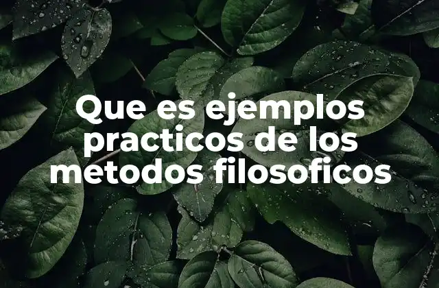 Que es Ejemplos Practicos de los Metodos Filosoficos