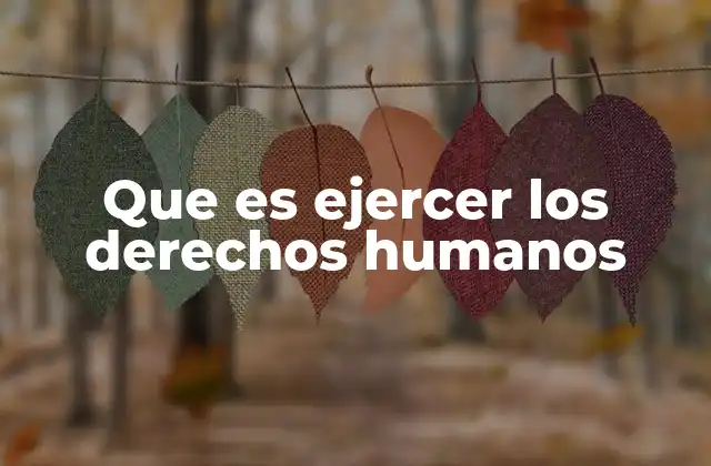 Que es Ejercer los Derechos Humanos
