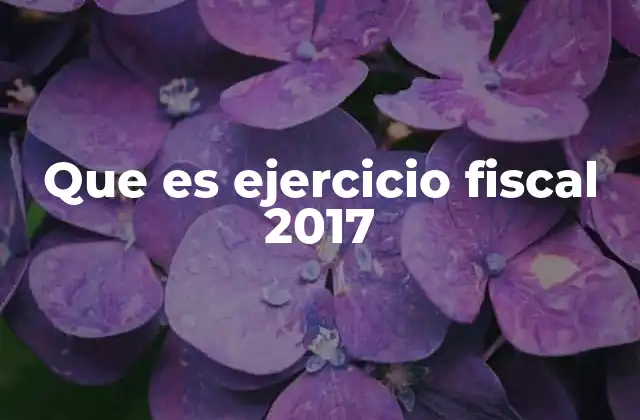 El contexto económico del ejercicio fiscal 2017