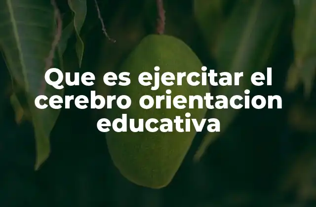 Que es Ejercitar el Cerebro Orientacion Educativa