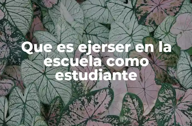 Que es Ejerser en la Escuela como Estudiante
