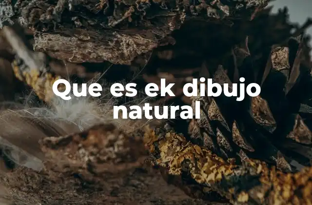 Que es Ek Dibujo Natural