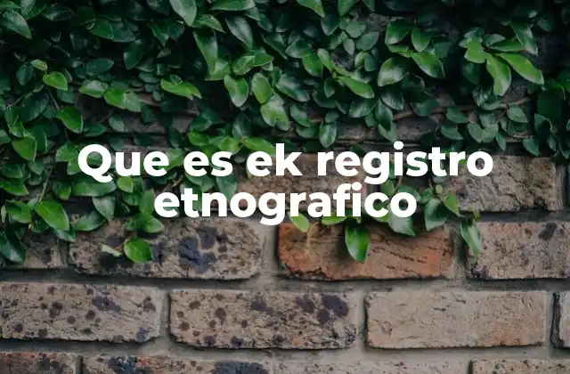 Que es Ek Registro Etnografico