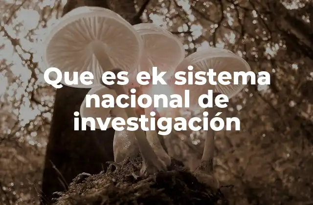 Que es Ek Sistema Nacional de Investigación