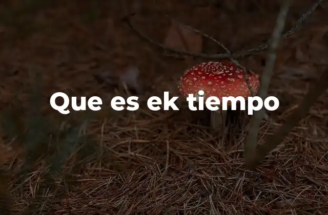 Que es Ek Tiempo