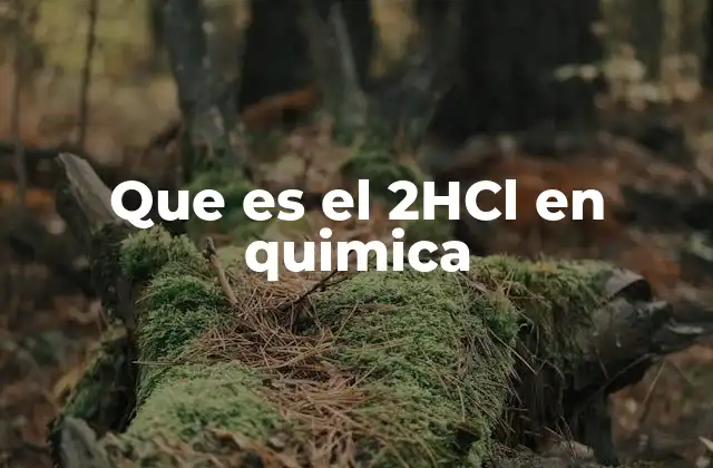 Que es el 2hcl en Quimica