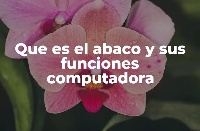 Que es el Abaco y Sus Funciones Computadora