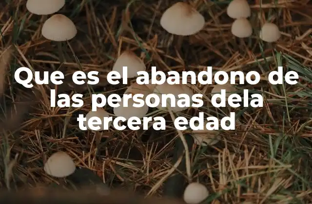 Que es el Abandono de las Personas Dela Tercera Edad
