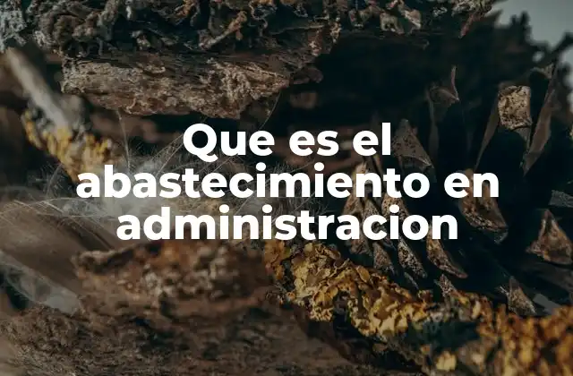 Que es el Abastecimiento en Administracion