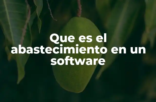 Que es el Abastecimiento en un Software