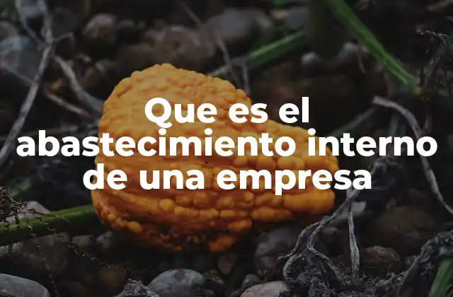 Que es el Abastecimiento Interno de una Empresa