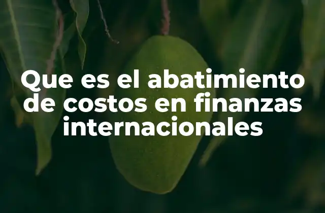 Que es el Abatimiento de Costos en Finanzas Internacionales 2 La importancia del abatimiento de costos en la gestión financiera global