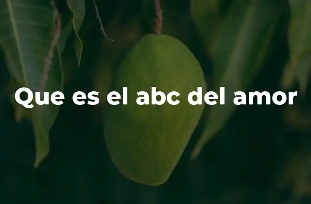 Que es el Abc Del Amor