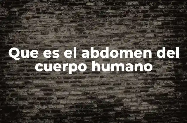Que es el Abdomen Del Cuerpo Humano