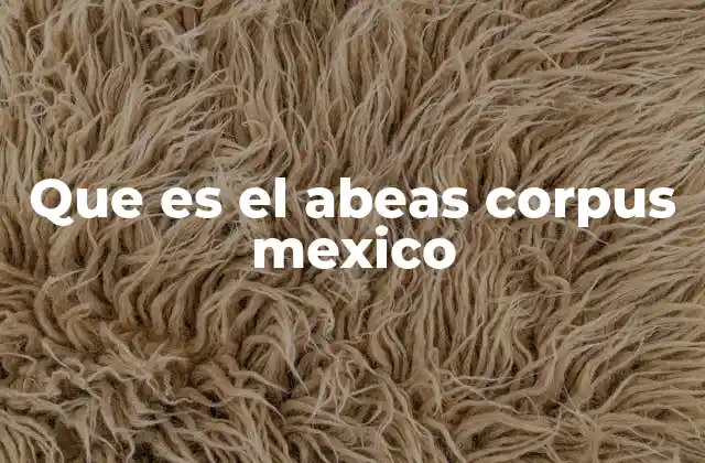 Que es el Abeas Corpus Mexico