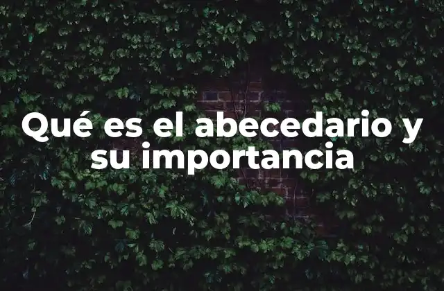 El abecedario como herramienta esencial en la educación temprana