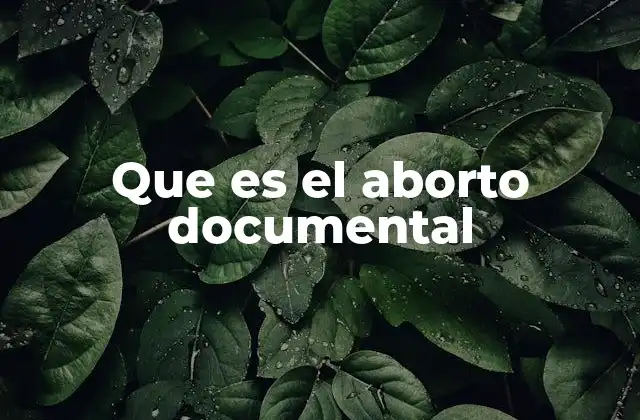 Que es el Aborto Documental 2 El impacto del cine documental en la percepción del aborto