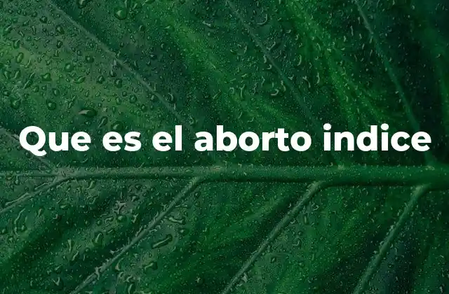 Que es el Aborto Indice