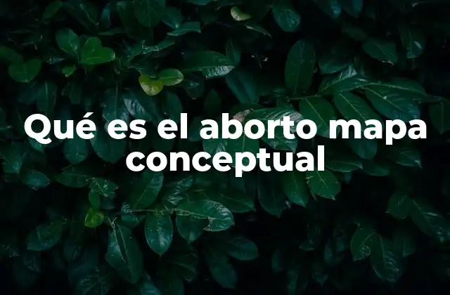 Qué es el Aborto Mapa Conceptual