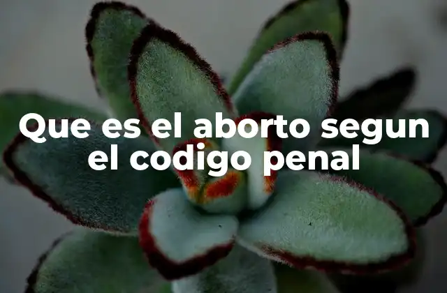 Que es el Aborto Segun el Codigo Penal