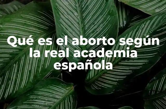Qué es el Aborto según la Real Academia Española