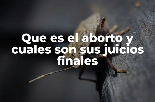 Que es el Aborto y Cuales Son Sus Juicios Finales