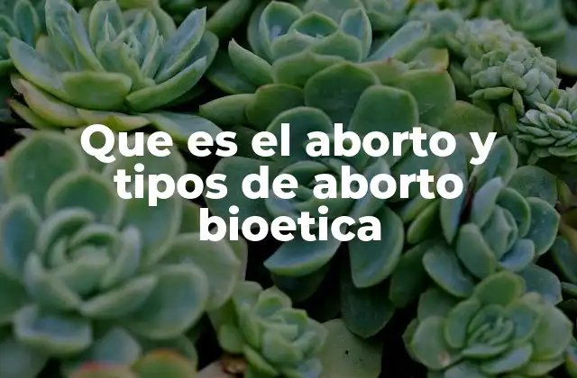 Que es el Aborto y Tipos de Aborto Bioetica