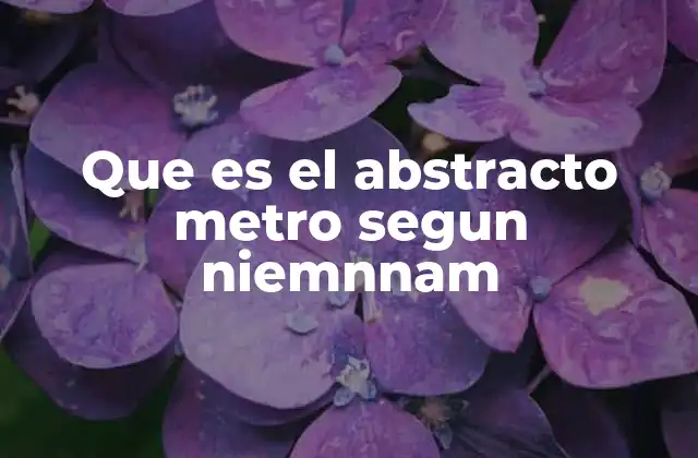Que es el Abstracto Metro Segun Niemnnam