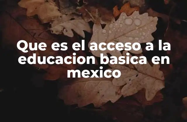 Que es el Acceso a la Educacion Basica en Mexico