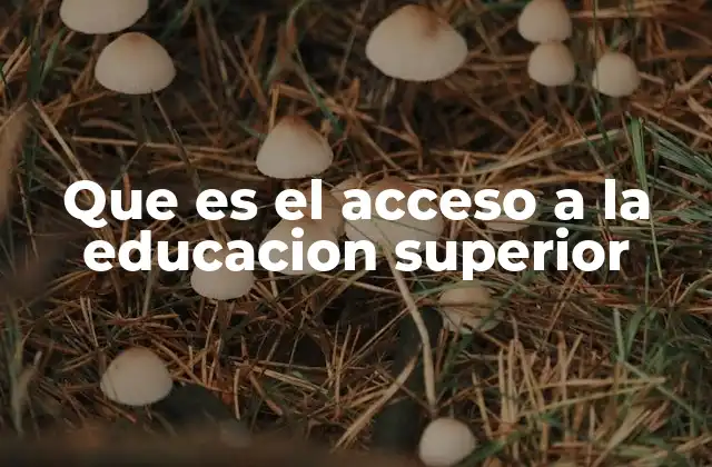 Que es el Acceso a la Educacion Superior