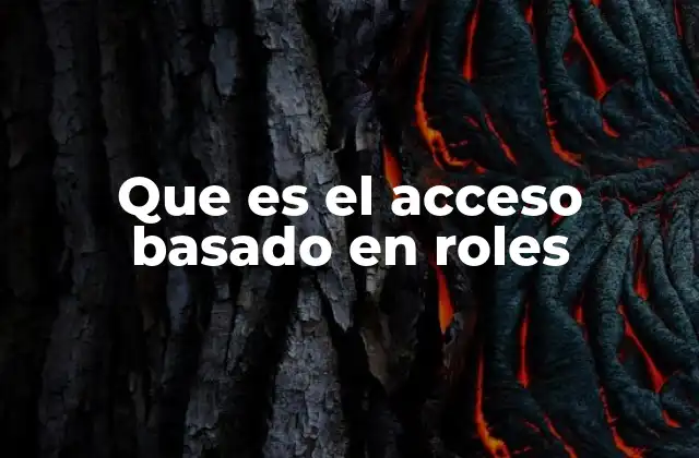 Que es el Acceso Basado en Roles