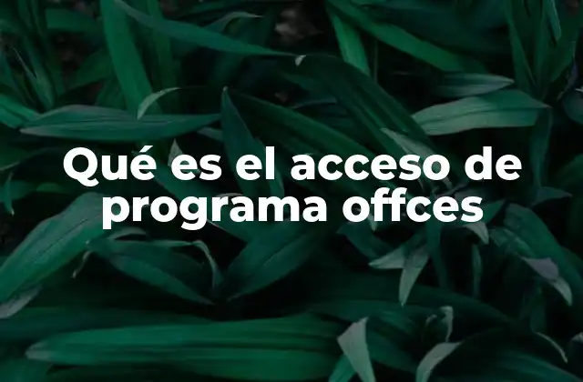 Qué es el Acceso de Programa Offces