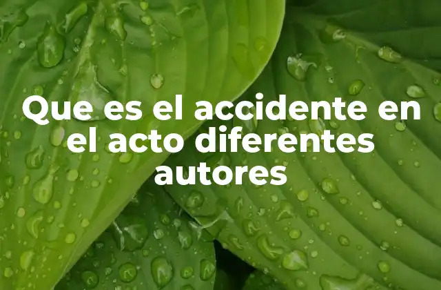 Que es el Accidente en el Acto Diferentes Autores