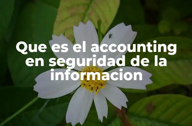 Que es el Accounting en Seguridad de la Informacion