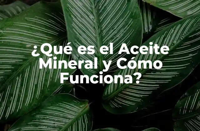 Orígenes y Producción del Aceite Mineral