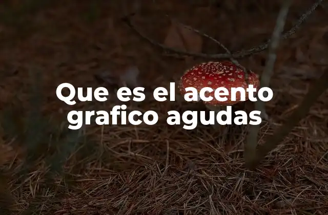 La importancia del acento en la acentuación de palabras