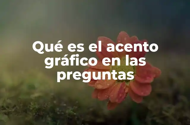 Qué es el Acento Gráfico en las Preguntas