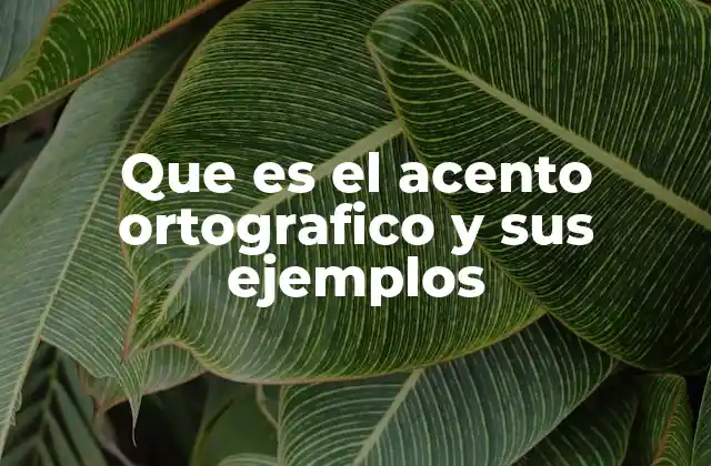 Que es el Acento Ortografico y Sus Ejemplos