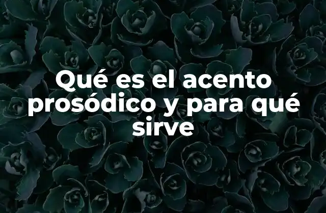 Qué es el Acento Prosódico y para Qué Sirve