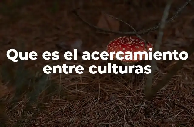 La importancia de entender otras perspectivas culturales