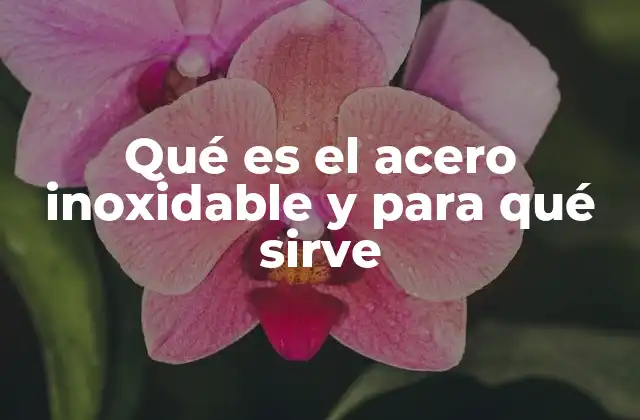 Qué es el Acero Inoxidable y para Qué Sirve