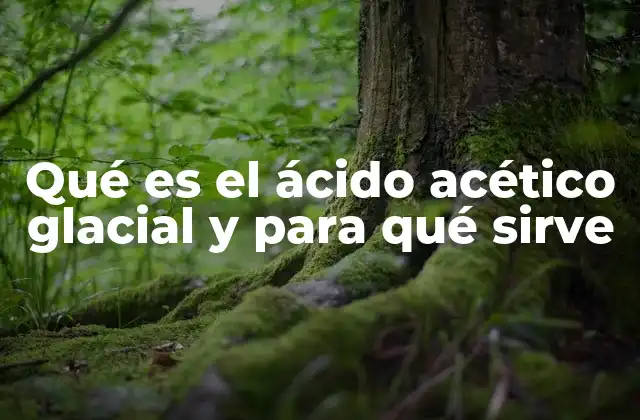 Características químicas del ácido acético glacial